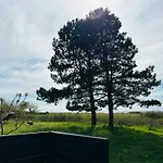 Log With View Of Meadow And Sea Tranekær