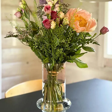 Log With View Of Meadow And Sea