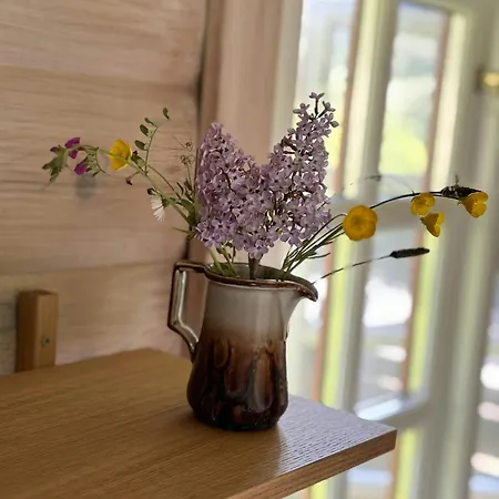 Log With View Of Meadow And Sea *