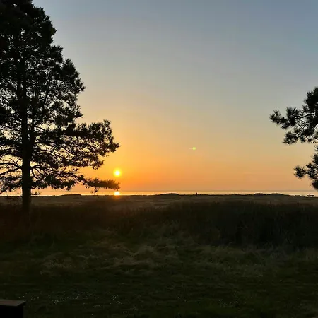 Log With View Of Meadow And Sea