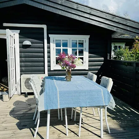 Log In The Front Row Overlooking The Sea *
