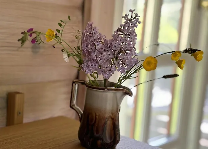 Log With View Of Meadow And Sea *