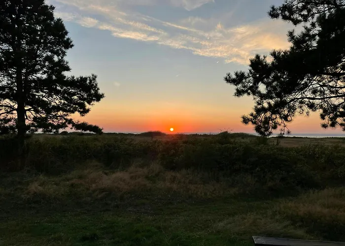 Log With View Of Meadow And Sea * Tranekær