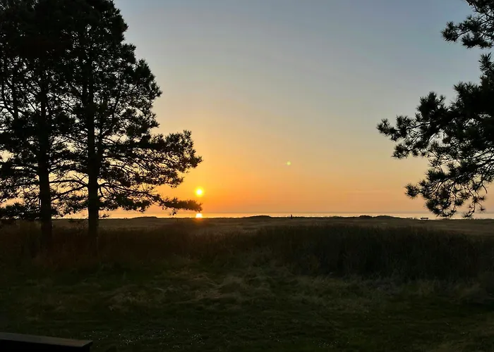 Log With View Of Meadow And Sea